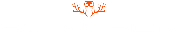 Scanvision